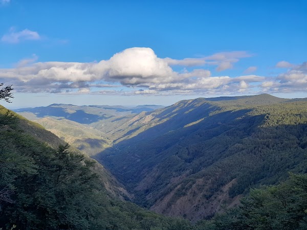 Mont Aigoual 4