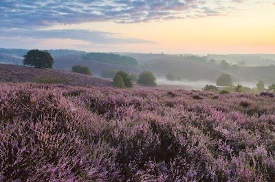 Nationaal Park Veluwezoom 1