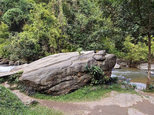 Mae Ya Waterfall 3
