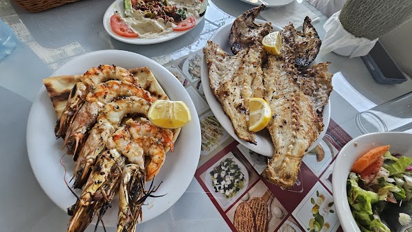 Turkish House Restaurant 3