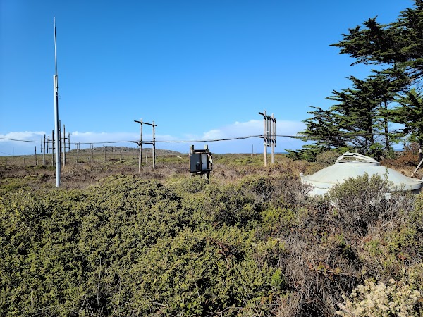 Cypress Tree Tunnel 3