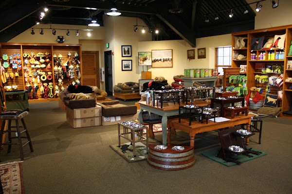 Orvis Manchester 3