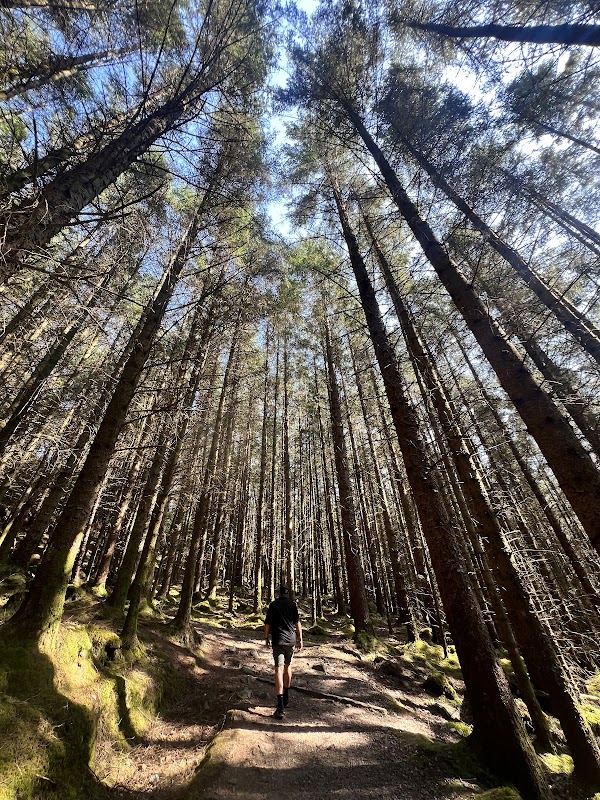 Glencoe Lochan Trail 3
