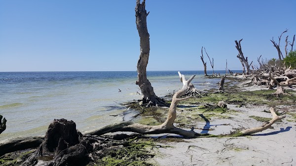 Captiva 4
