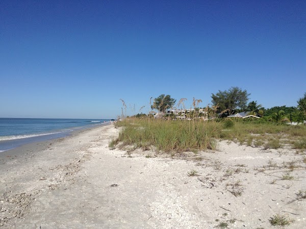 Captiva 3