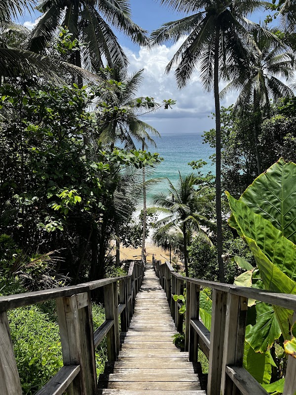 Thailand 35