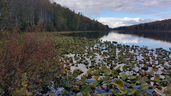 Call Lake Provincial Park 1
