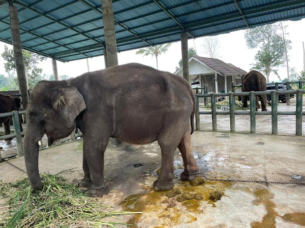 Taman Satwa Tabanan (Tasta Zoo) 1