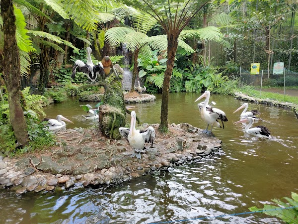 Taman Satwa Tabanan (Tasta Zoo) 3