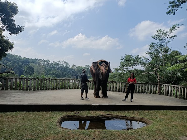 Taman Satwa Tabanan (Tasta Zoo) 2