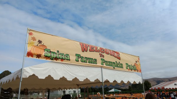 Spina Farms Pumpkin Patch 1