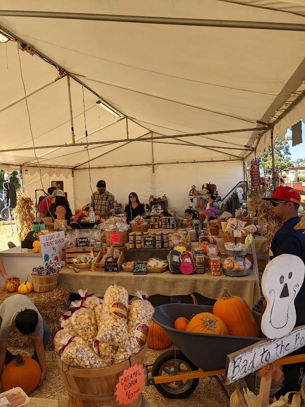 Spina Farms Pumpkin Patch 4