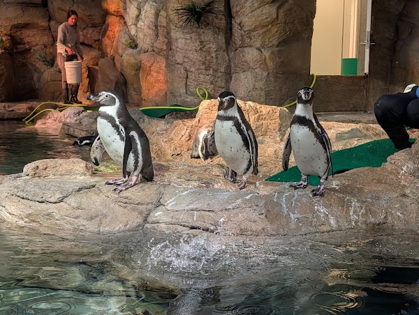 Mote Science Education Aquarium (SEA) 2
