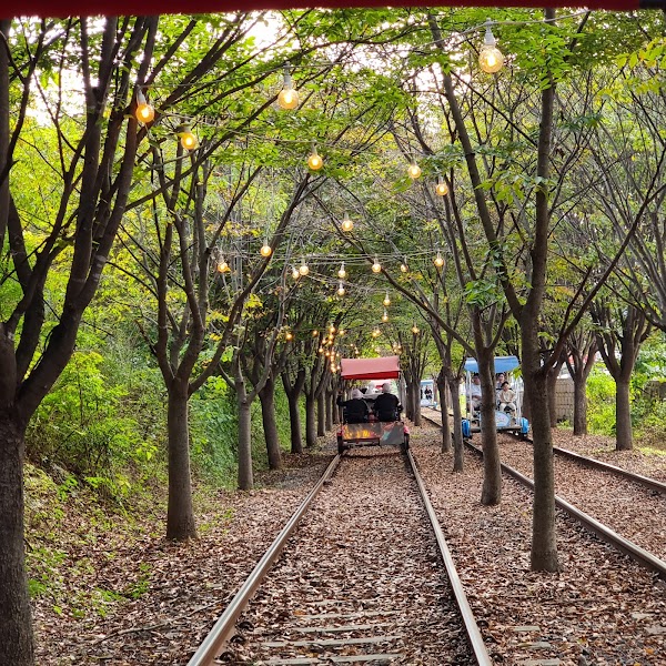 Gyeonggang Railbike 1