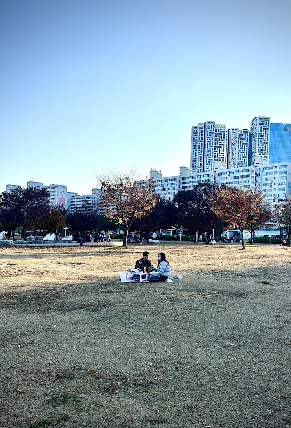 Yeouido Hangang Park Nogeumsu Plaza 5