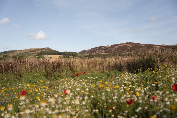 Dunsinnan Farm & Estate 2