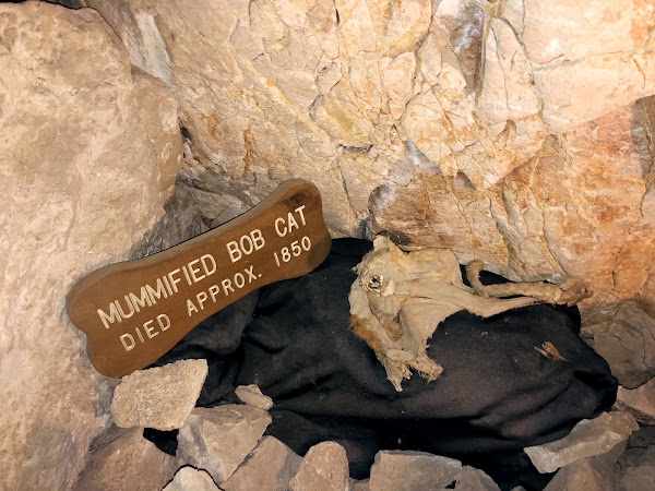 Grand Canyon Caverns & Inn 4