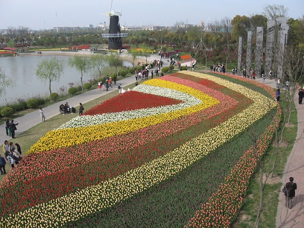 Shanghai Dahongqiao Flowers Port 1