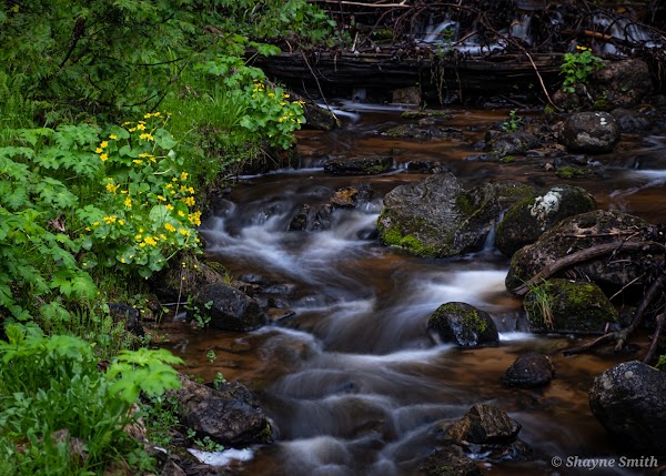 Munising Falls 2