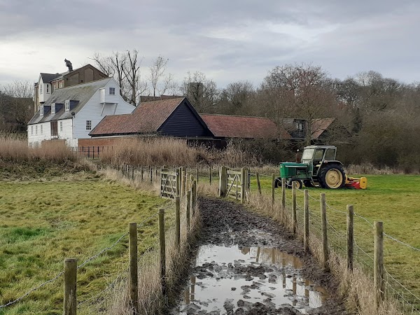 Fingringhoe