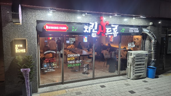 Korea Trip 2026 1