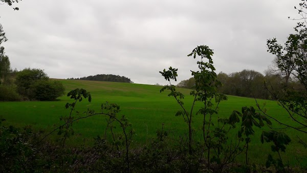 Kołczewo 5