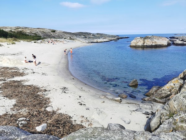 Koster Islands 5