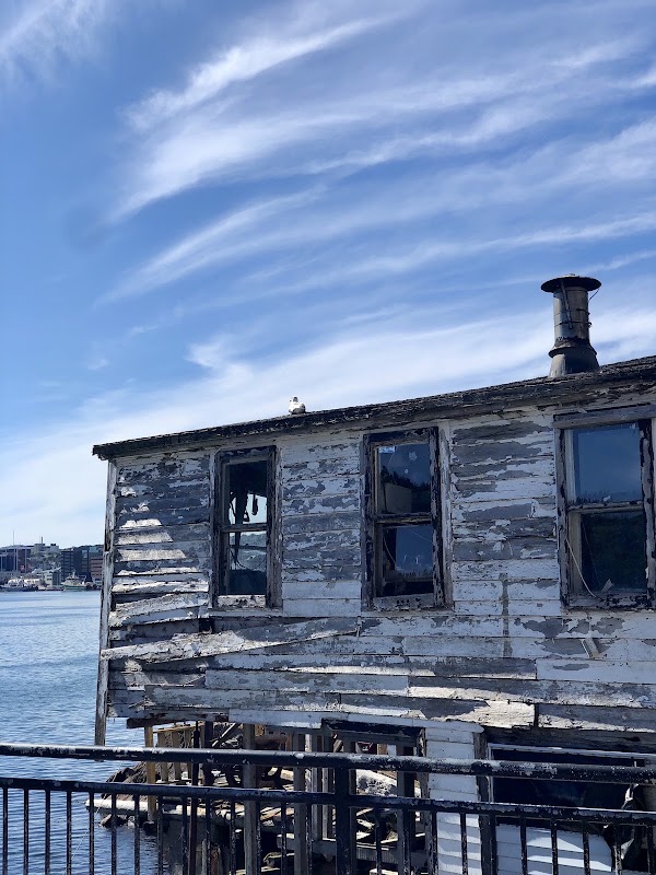 The Battery 4
