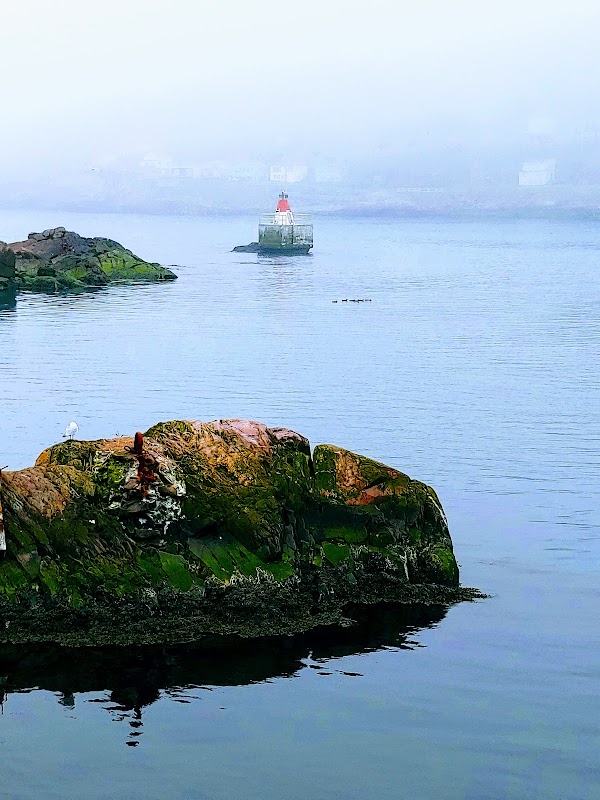 The Battery 2