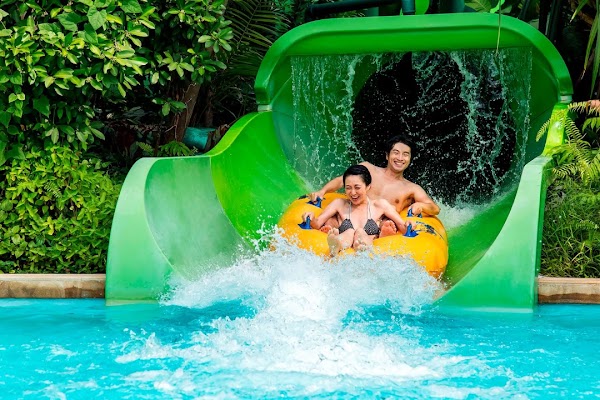 Adventure Cove Waterpark 4