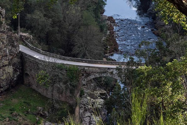 Arouca