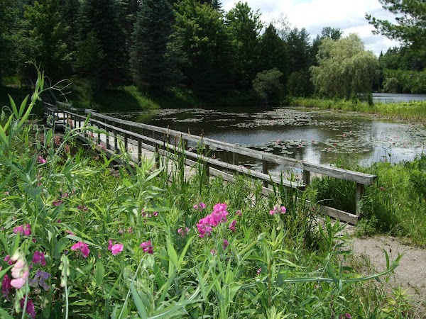 Tiffin Centre for Conservation