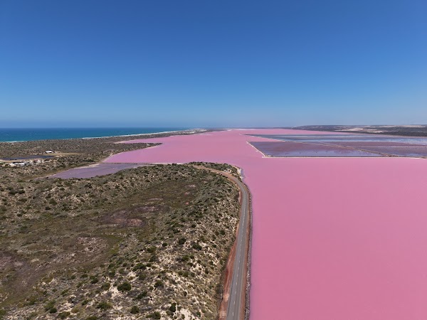 Pink Lake Lookout