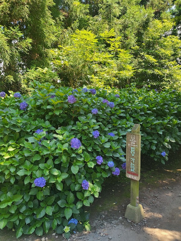 남국사