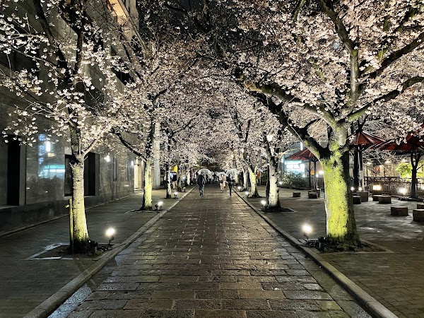 Shinbashi-dori 5