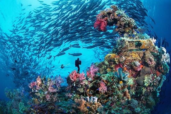 Chuuk Lagoon