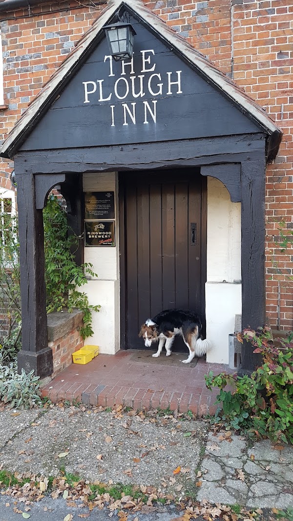 The Plough Inn 1