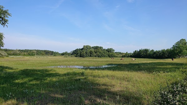 North Holland Dune Reserve 5