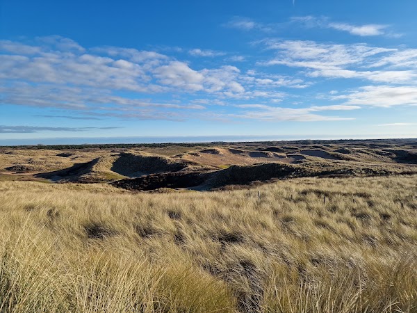 North Holland Dune Reserve 4
