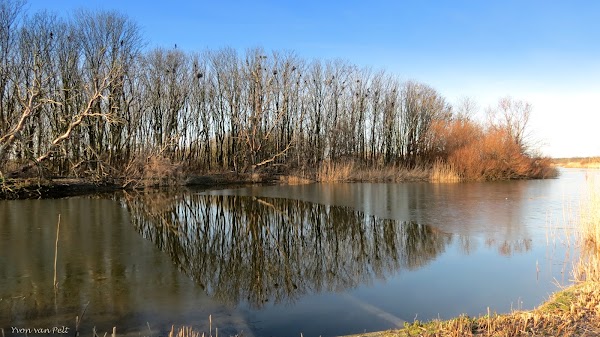 North Holland Dune Reserve 2