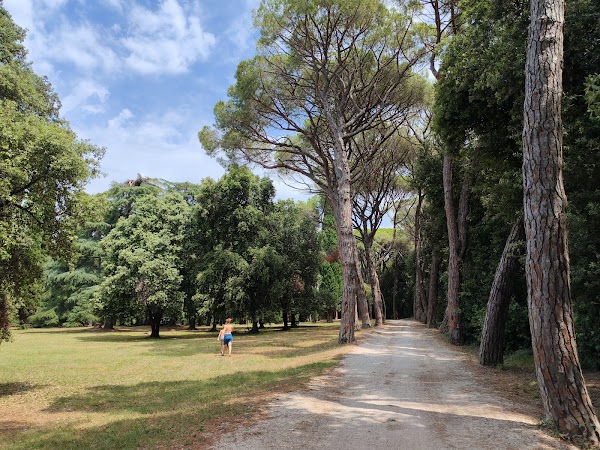 Park forest Zlatni Rt
