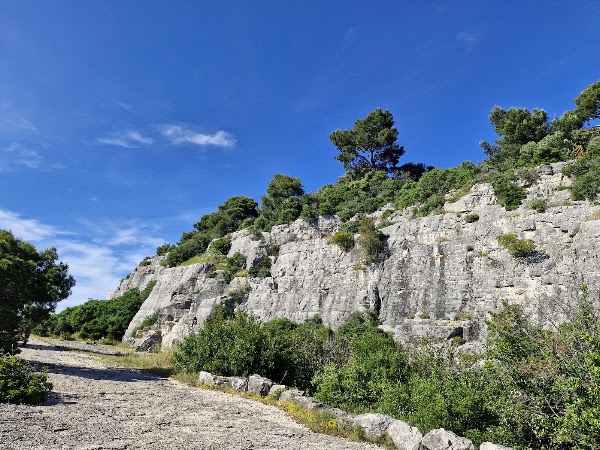 Park forest Zlatni Rt 2