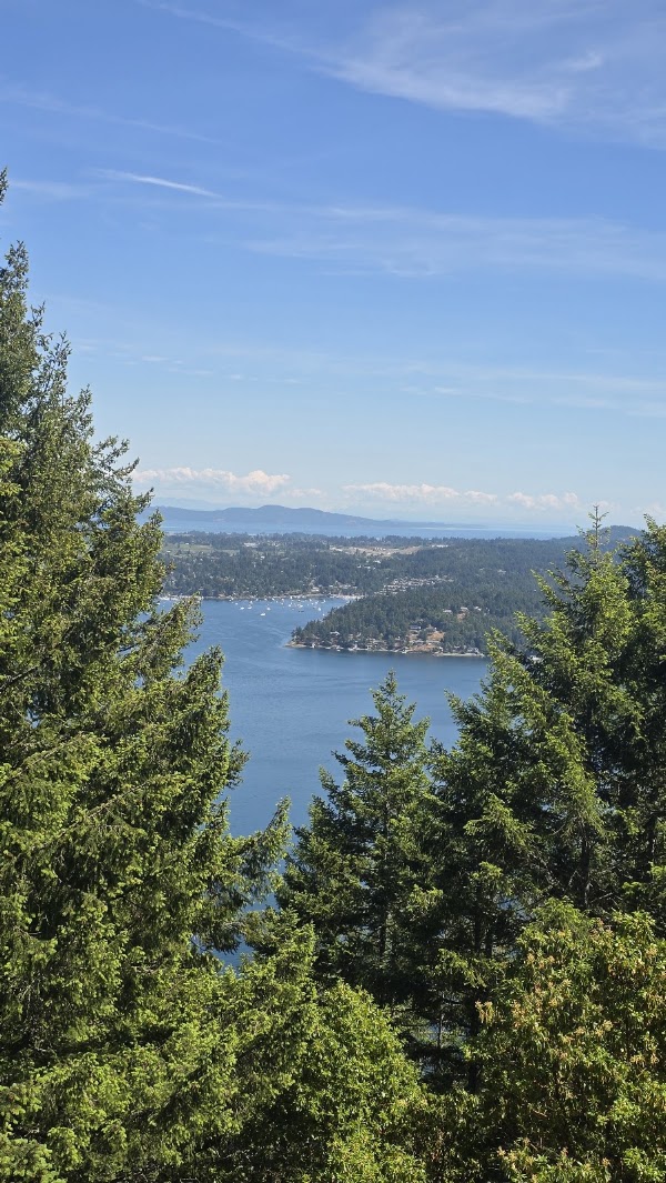 Malahat Lookout
