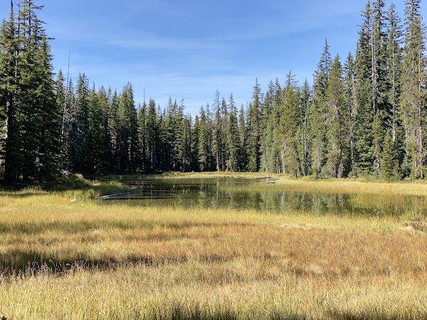 Three Sisters Wilderness 3