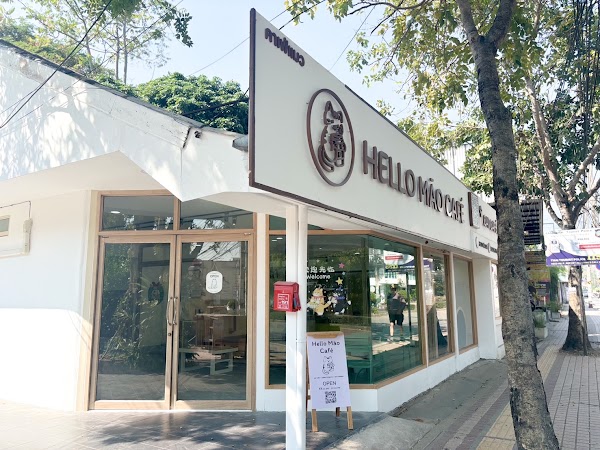 Hello māo café