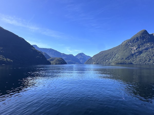 Doubtful Sound / Patea 1