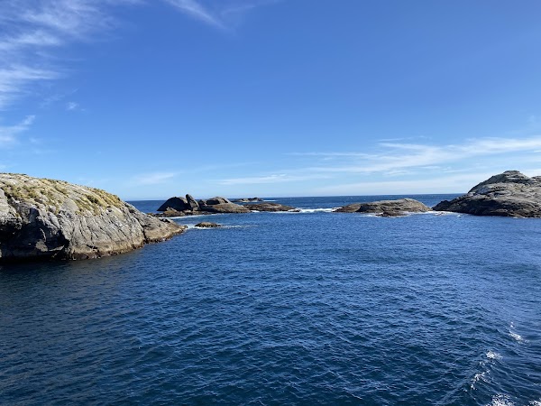 Doubtful Sound / Patea 3