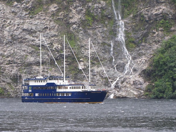 Doubtful Sound / Patea 2