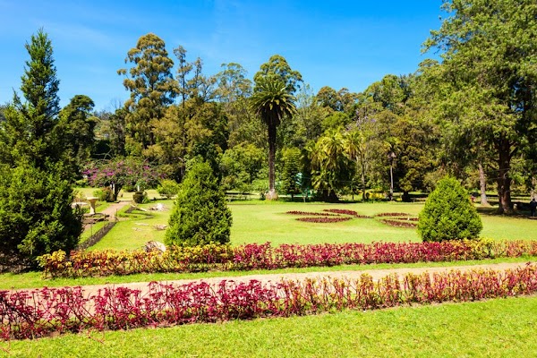 Victoria Park - Nuwara Eliya