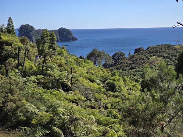 Cathedral Cove Gateway Trails 5